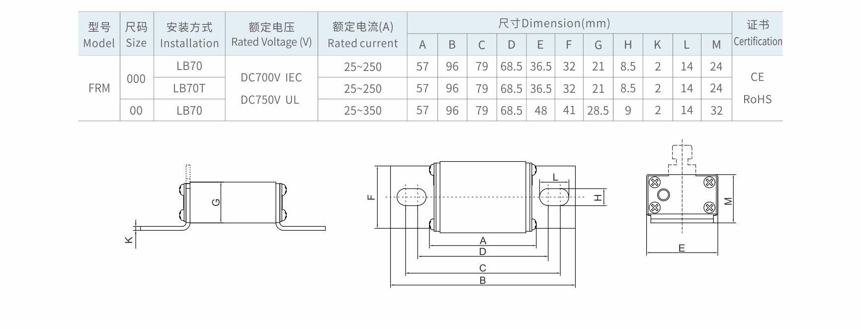 FRM000-LB70-01.jpg